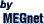 MEGNET - Hospedagem Web